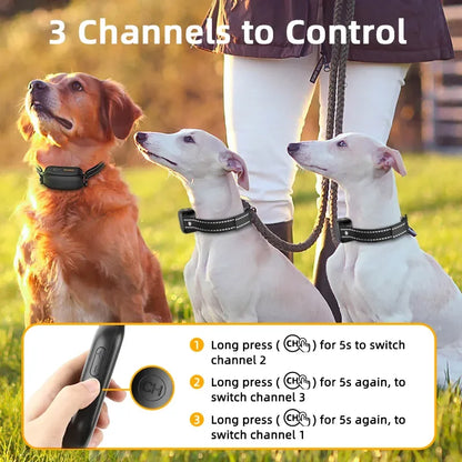 Electric Dog Training Collar - Beloved Tails