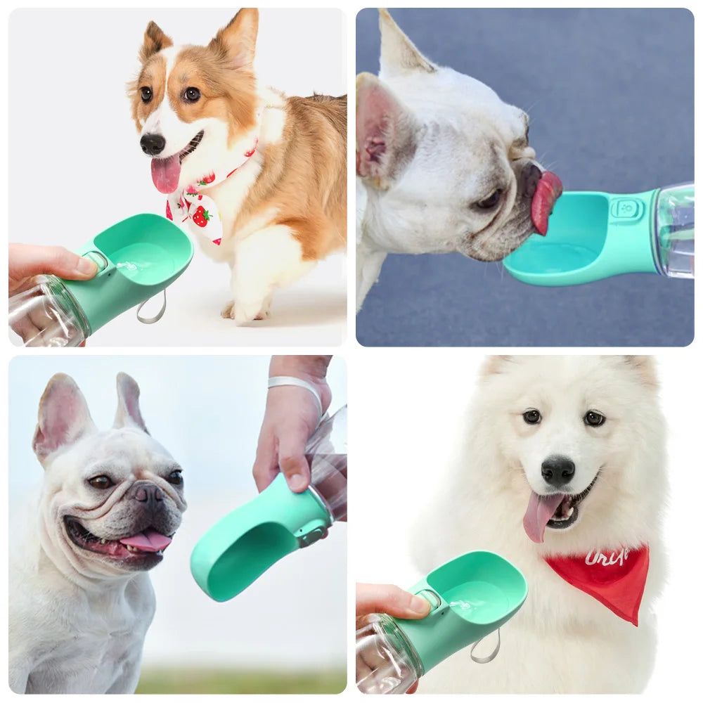 Portable dog drinking bottle - Beloved Tails