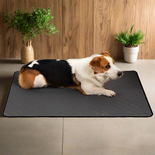 Universal Dog Training Pad: Waterproof & Absorbent