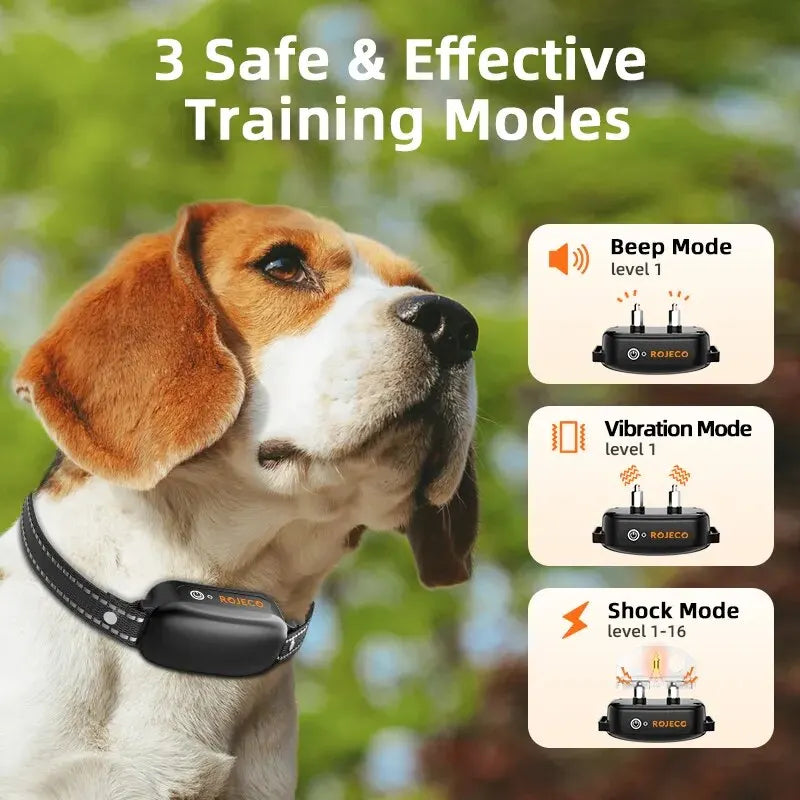 Electric Dog Training Collar - Beloved Tails