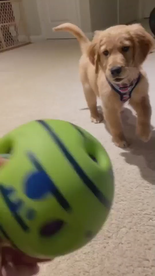 Interactive Dog Toy: Wobble Wag Giggle Glow Ball